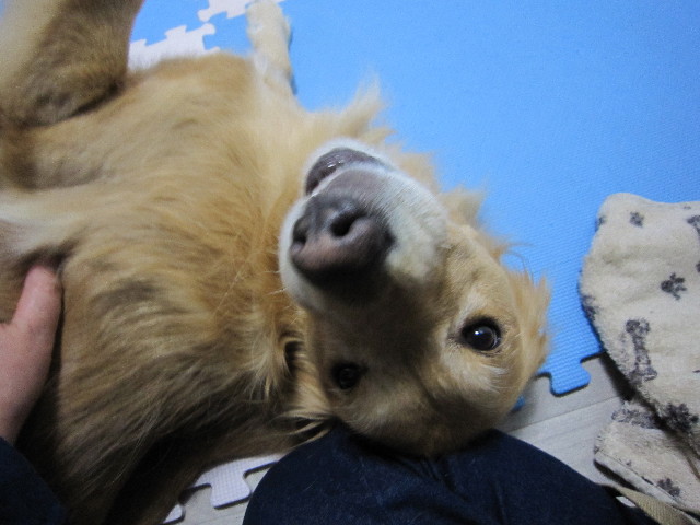 ファイル 1564-5.jpg