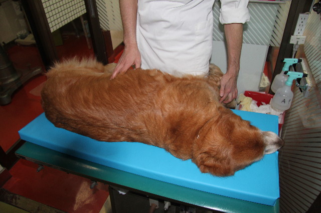 ファイル 1565-3.jpg