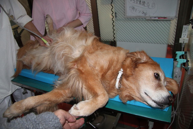 ファイル 1565-4.jpg