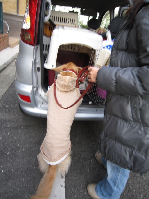 ファイル 1566-2.jpg