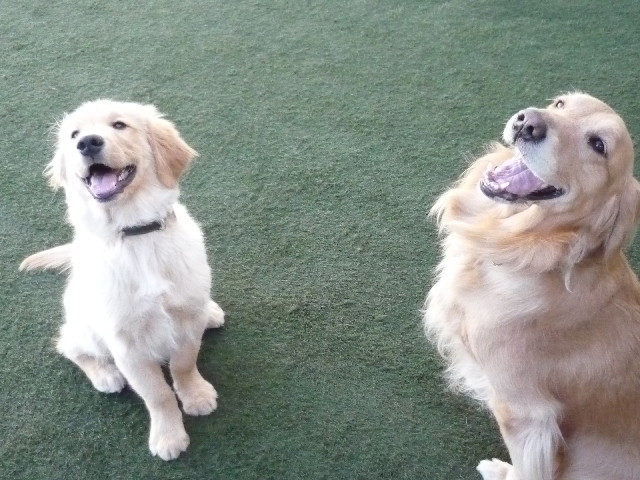 ファイル 1566-3.jpg