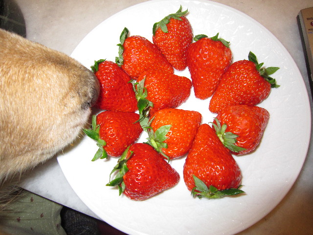 ファイル 1567-2.jpg