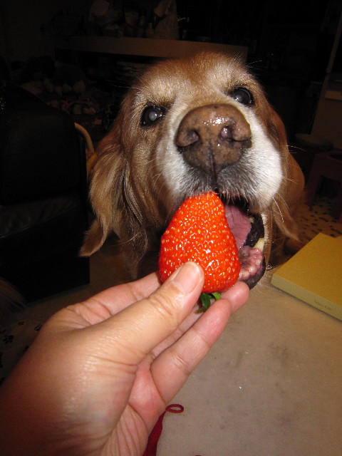 ファイル 1567-3.jpg