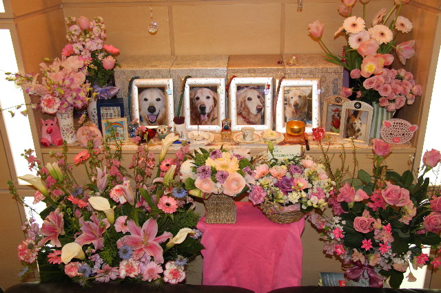 ファイル 1569-1.jpg