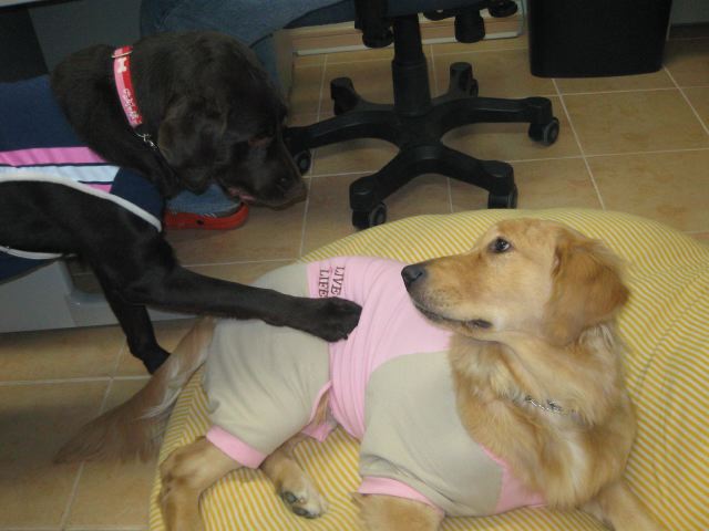 ファイル 157-2.jpg