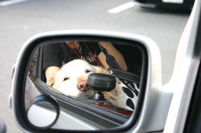 ファイル 1570-1.jpg