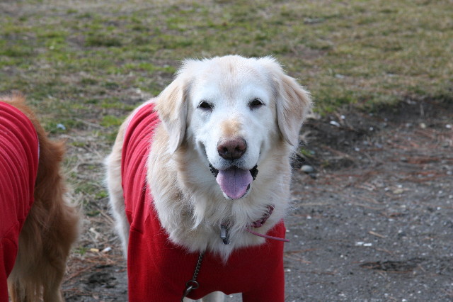 ファイル 1570-3.jpg