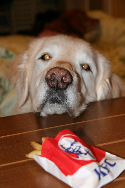 ファイル 1571-3.jpg