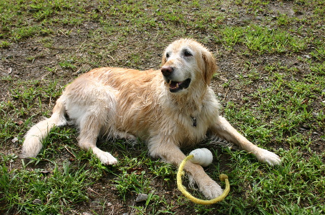 ファイル 1571-4.jpg