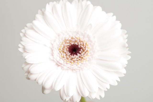 ファイル 1572-3.jpg