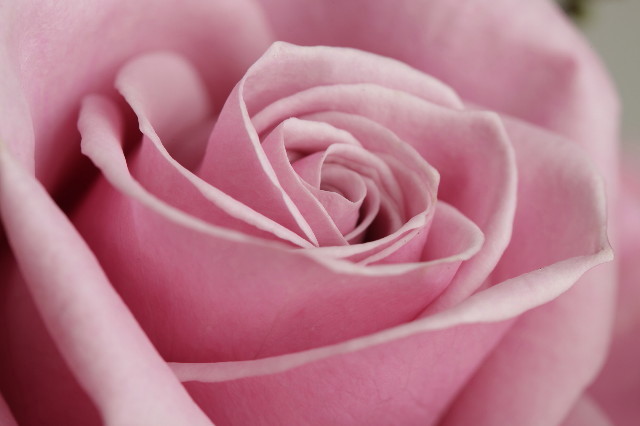 ファイル 1572-5.jpg