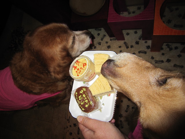 ファイル 1573-1.jpg