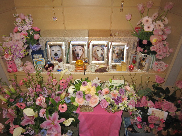 ファイル 1573-2.jpg