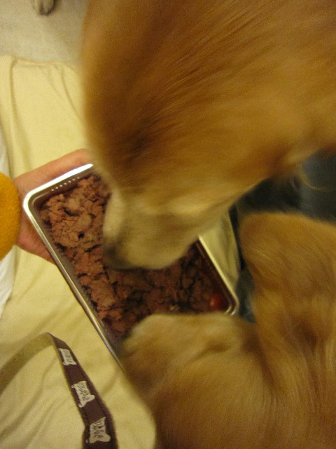 ファイル 1573-5.jpg