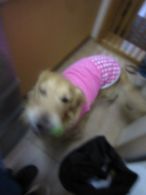 ファイル 1574-2.jpg