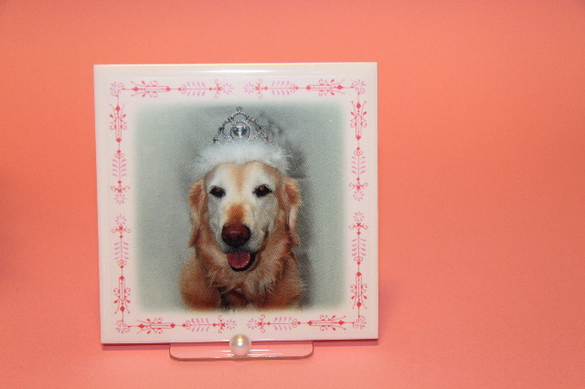 ファイル 1575-3.jpg