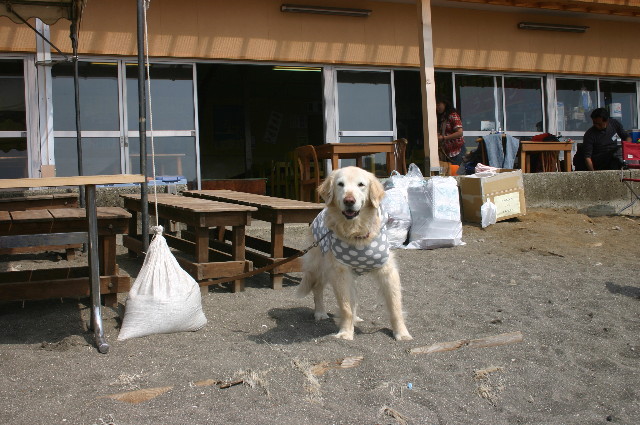 ファイル 1575-4.jpg