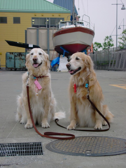 ファイル 1575-5.jpg