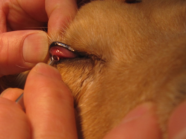 ファイル 1576-3.jpg