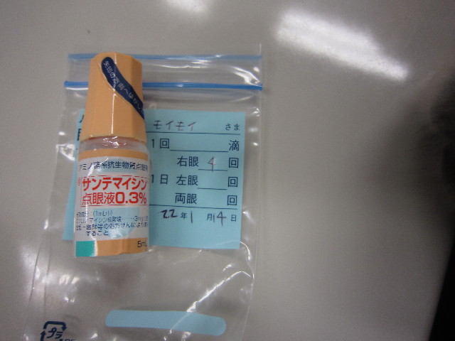 ファイル 1576-5.jpg