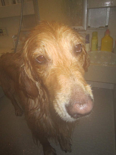 ファイル 1579-3.jpg