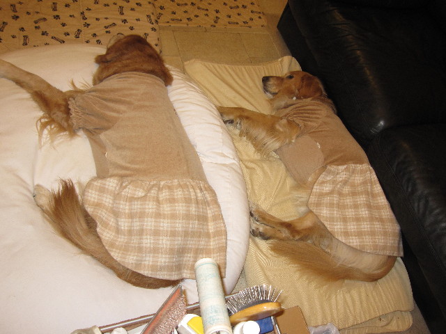 ファイル 1579-5.jpg