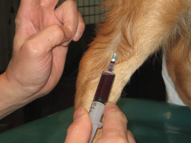 ファイル 158-1.jpg