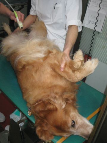 ファイル 158-3.jpg