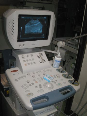 ファイル 158-4.jpg