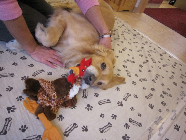 ファイル 1583-5.jpg