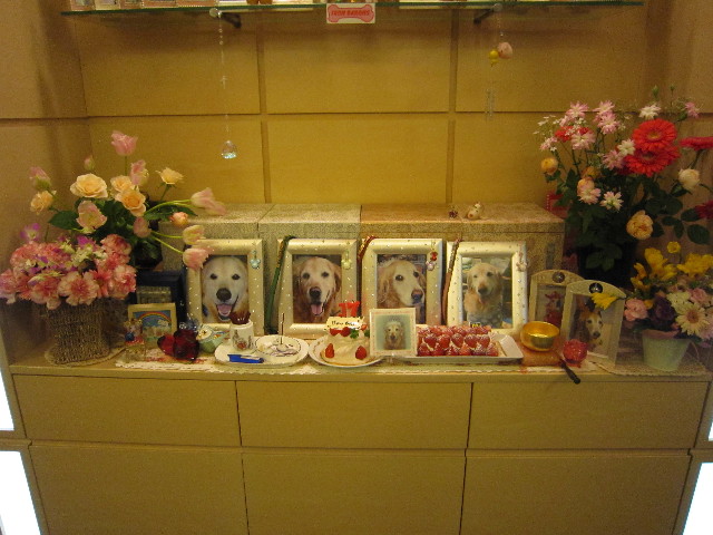 ファイル 1584-1.jpg