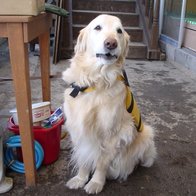 ファイル 1584-4.jpg