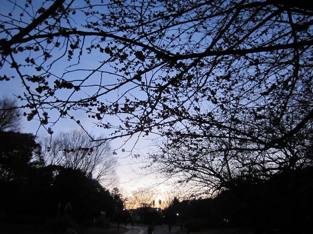 ファイル 1586-4.jpg