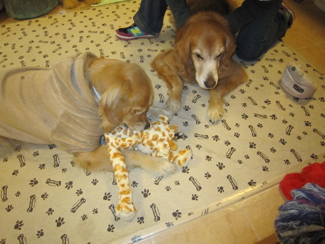 ファイル 1587-1.jpg