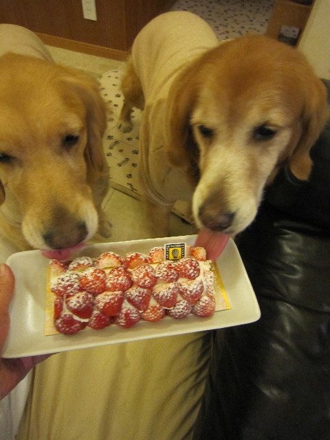 ファイル 1587-4.jpg