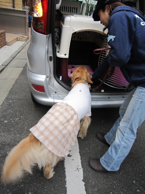 ファイル 1589-3.jpg