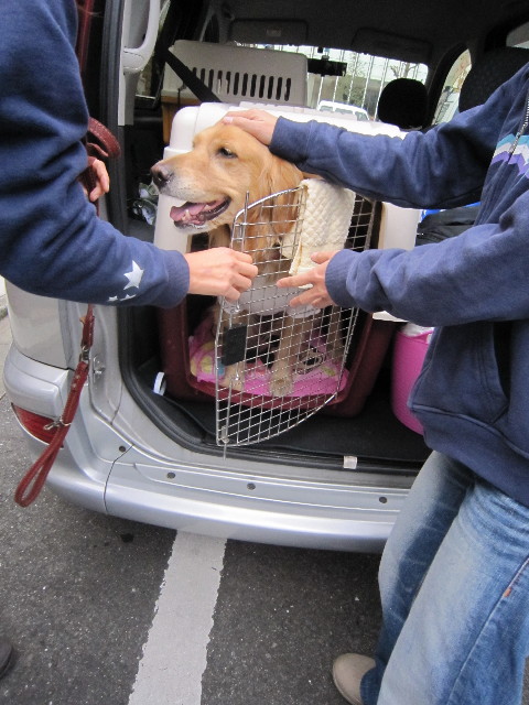 ファイル 1589-4.jpg