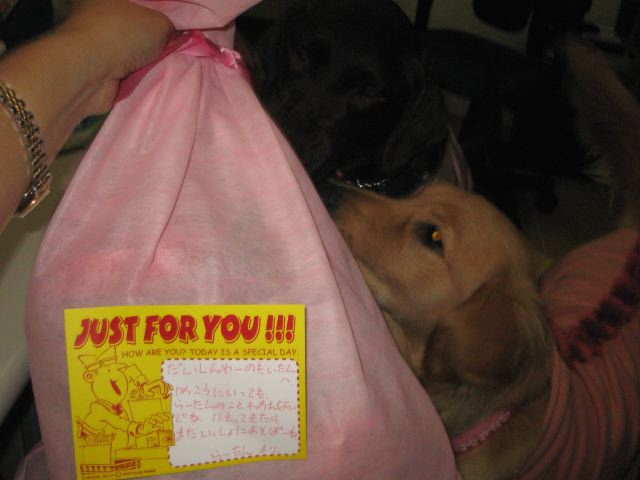 ファイル 159-1.jpg