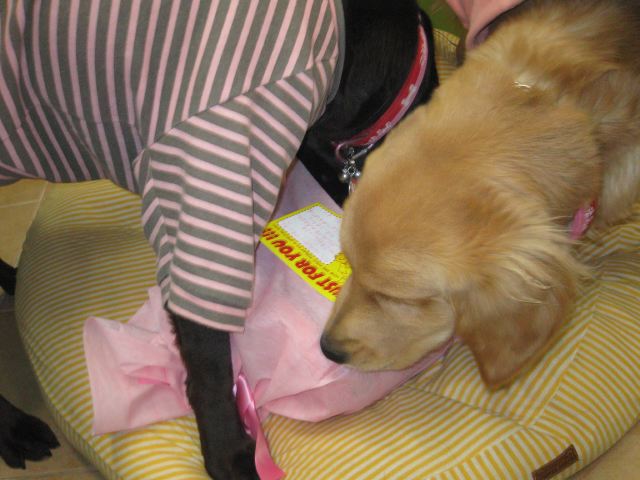 ファイル 159-4.jpg