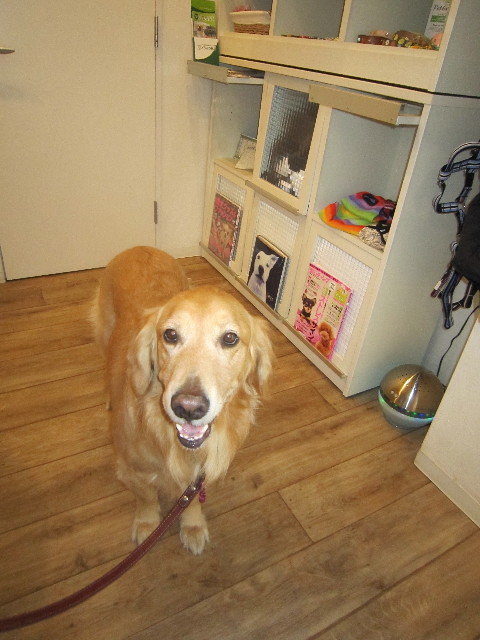 ファイル 1592-1.jpg