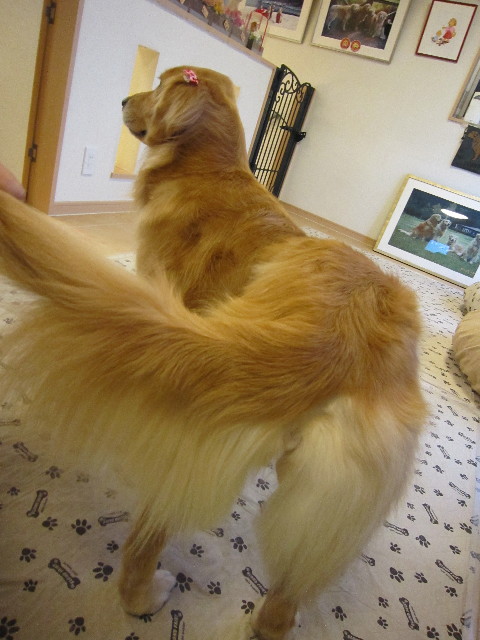 ファイル 1592-4.jpg