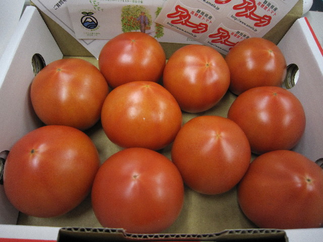 ファイル 1593-1.jpg