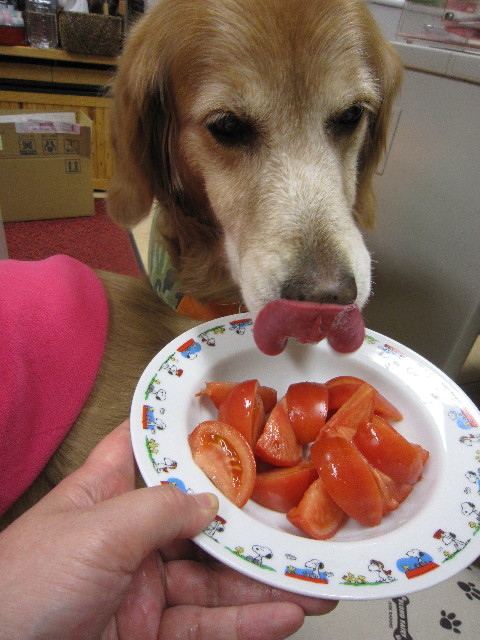 ファイル 1593-2.jpg