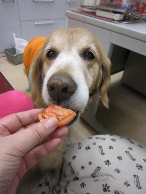 ファイル 1593-4.jpg