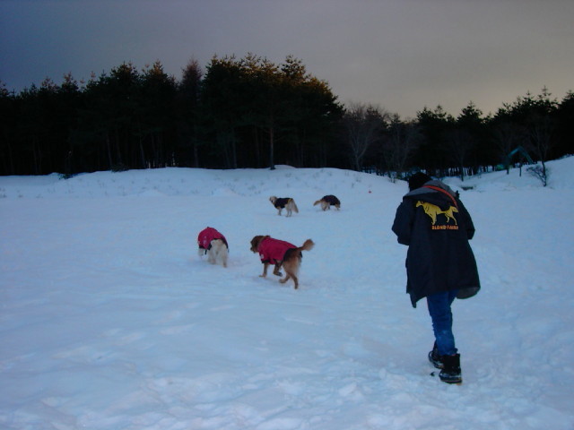 ファイル 1594-2.jpg