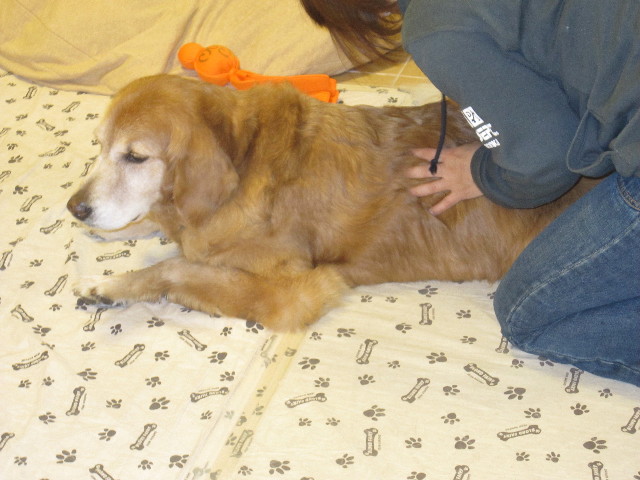 ファイル 1596-1.jpg