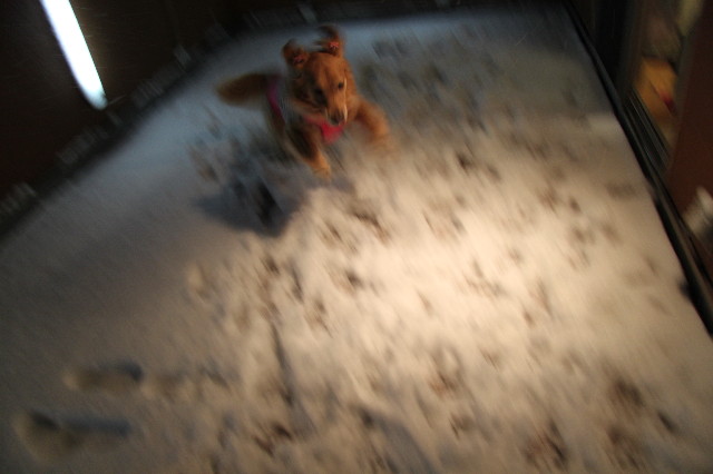 ファイル 1597-5.jpg