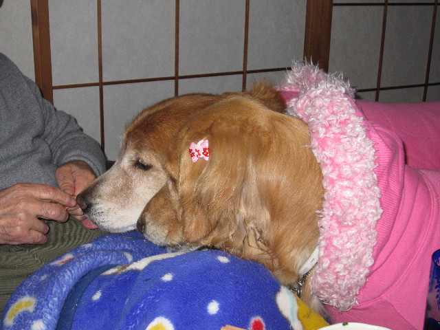 ファイル 1599-4.jpg