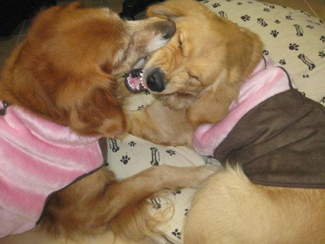 ファイル 160-1.jpg