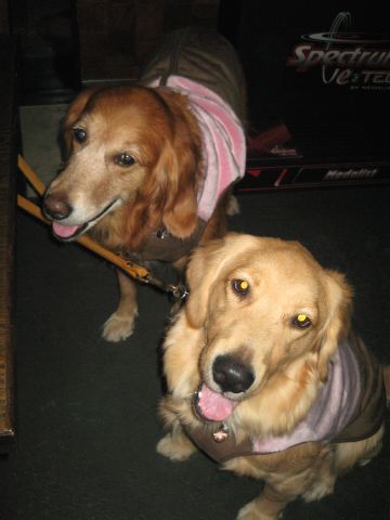 ファイル 160-3.jpg